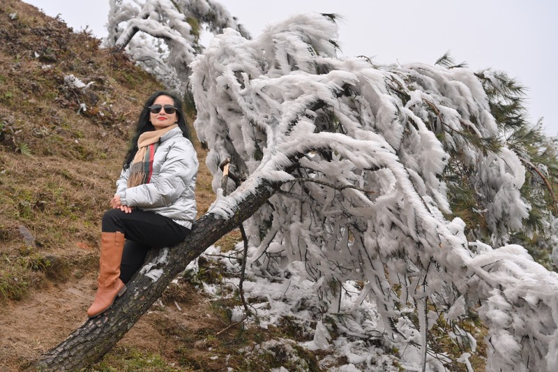 Khoanh khac bang gia tai mien Bac nhung ngay qua-Hinh-5