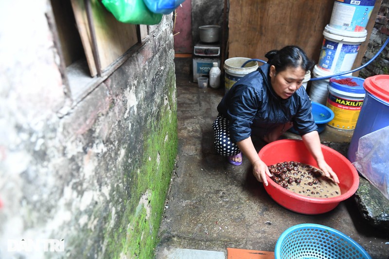 TPHCM nang rat mat, Ha Noi khon kho vi ret buot-Hinh-2