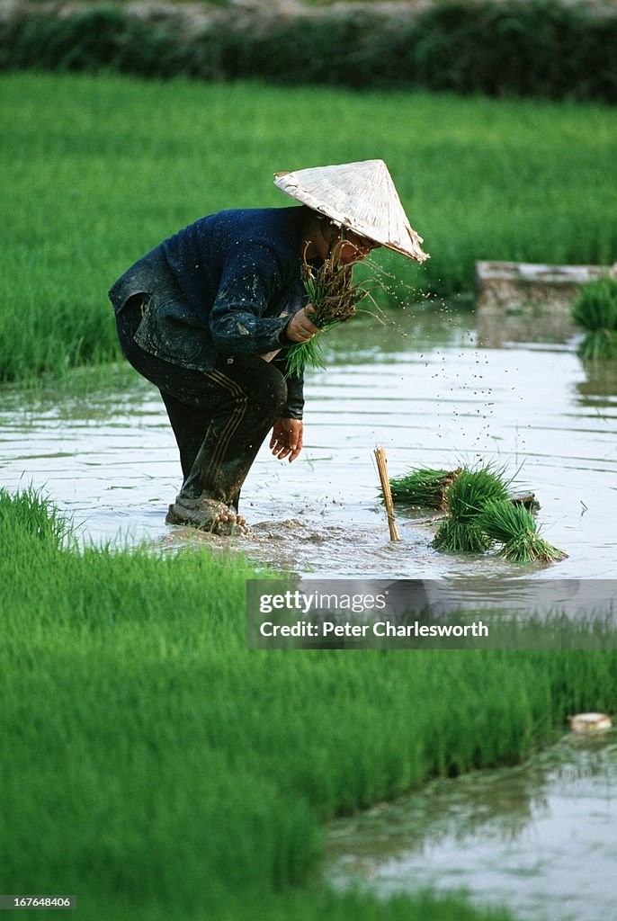 Loat anh “chat lu” ve cuoc song o thu do cua Lao nam 1991-Hinh-8