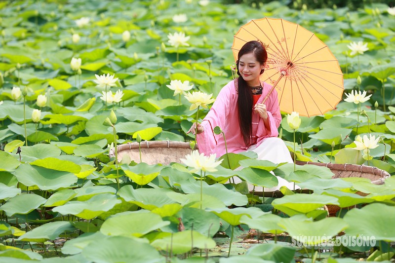 Thieu nu Ha Thanh xiem ao xung xinh chup anh ben sen trang-Hinh-6