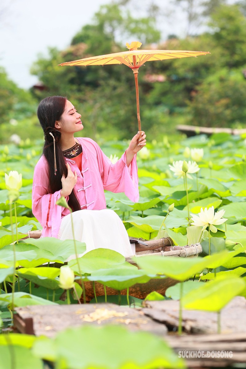 Thieu nu Ha Thanh xiem ao xung xinh chup anh ben sen trang-Hinh-7