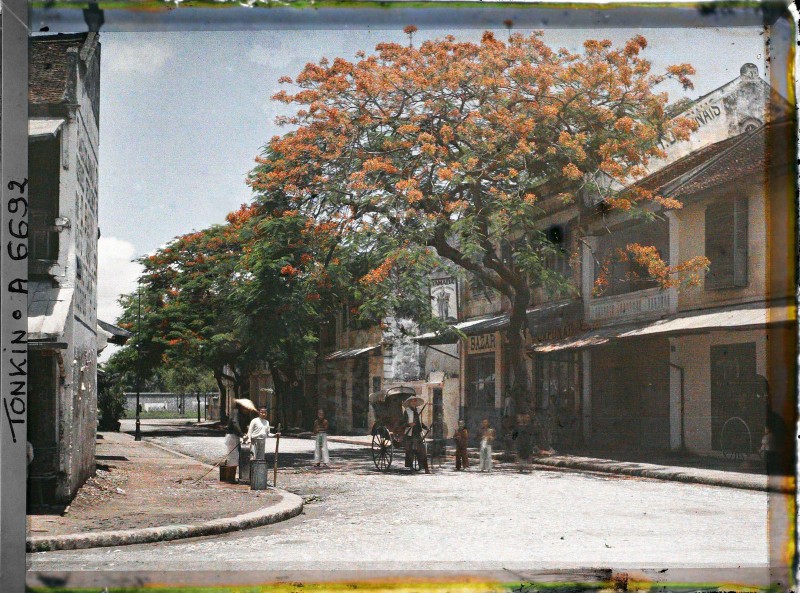 Hoa phuong do ruc pho phuong Ha Noi trong anh mau nam 1915-Hinh-4