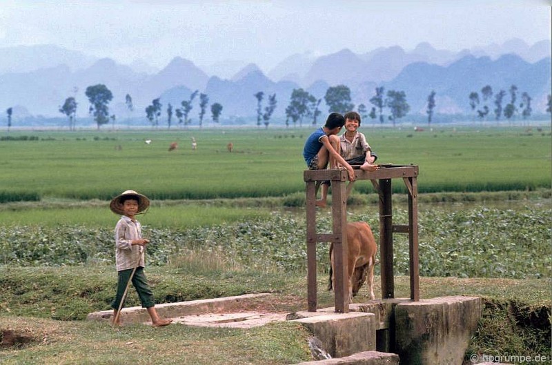 Hinh anh khong the quen ve tinh Ha Tay nam 1991-1992-Hinh-10