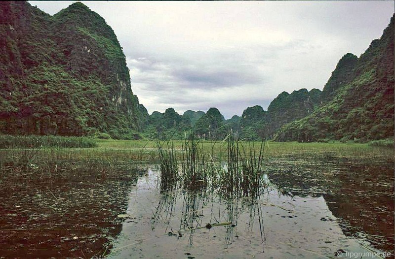 Lang nguoi truoc ve dep hoang so cua Ninh Binh nam 1991-Hinh-4