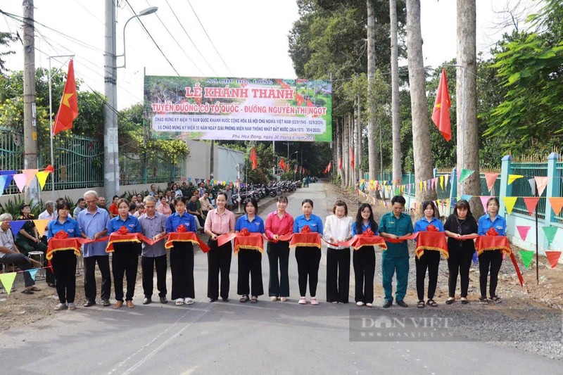 Duong pho Ha Noi, TP HCM ruc ro co hoa mung Quoc khanh-Hinh-14