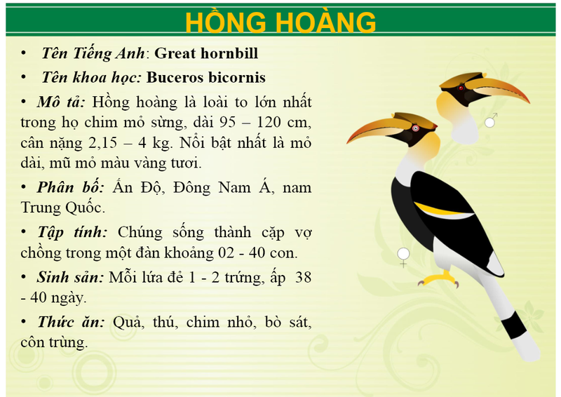 Ngoai ho bao khu du lich Vuon Xoai con nuoi nhung loai 'khung' nao?-Hinh-14