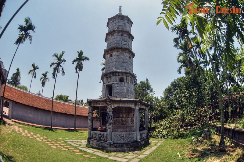 Hai 'cay but' khong lo bang da doc dao nhat Viet Nam-Hinh-8