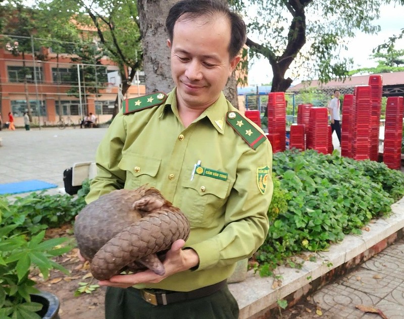 TPHCM lien tuc phat hien dong vat quy hiem sau dem mua