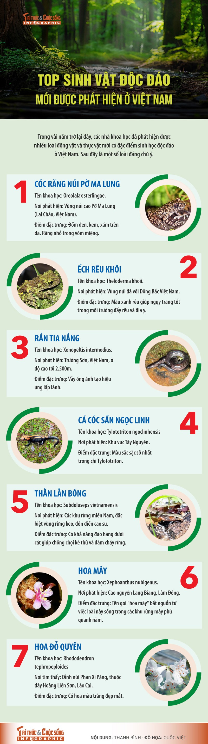 [INFOGRAPHIC] 7 sinh vat doc dao moi duoc phat hien o Viet Nam