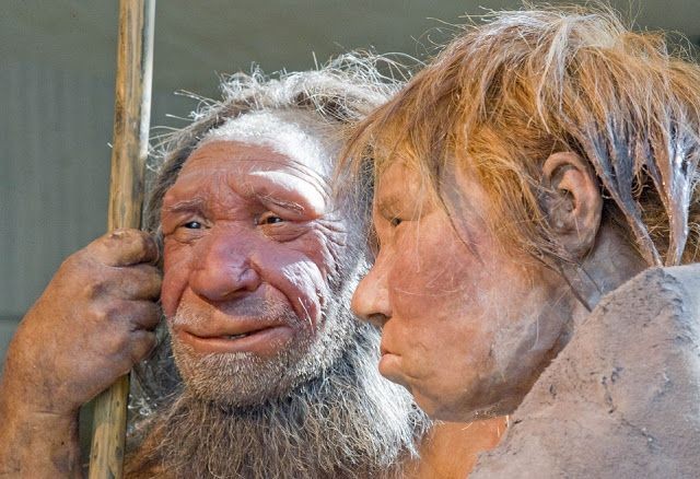 Nguoi Neanderthal bi tuyet chung do 'yeu' nguoi hien dai?-Hinh-5