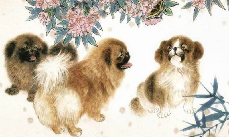 2 ngay cuoi thang 3: 3 con giap phat tai, tien ve tiu tit-Hinh-8