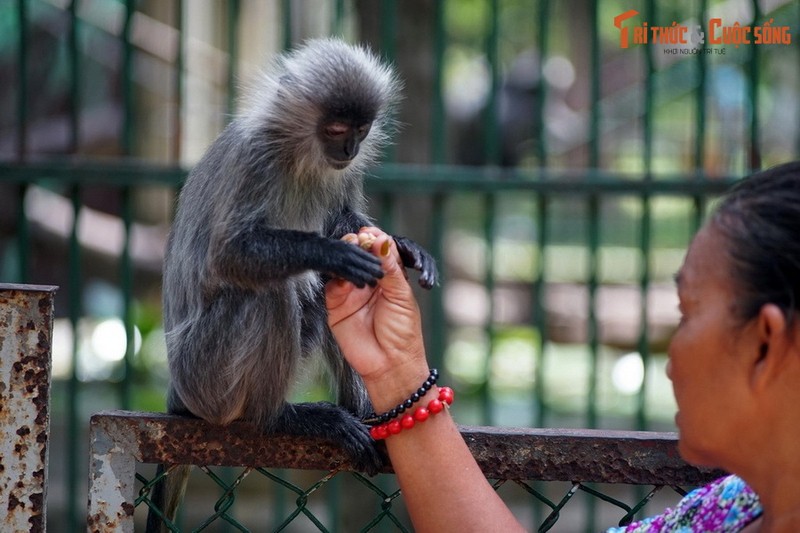 Top 10 địa điểm phải ghé thăm ở phường Sài Gòn, TP HCM - Hình 3 Top 10 dia diem phai ghe tham o phuong Sai Gon, TP HCM-Hinh-3