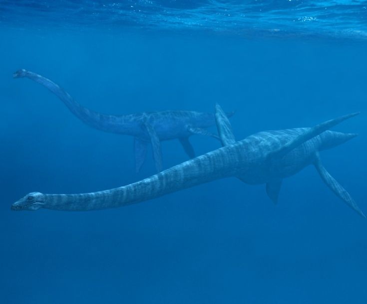 Rung minh sinh vat khong lo co that, nguyen mau quai vat ho Loch Ness-Hinh-3