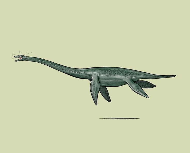 Rung minh sinh vat khong lo co that, nguyen mau quai vat ho Loch Ness-Hinh-6