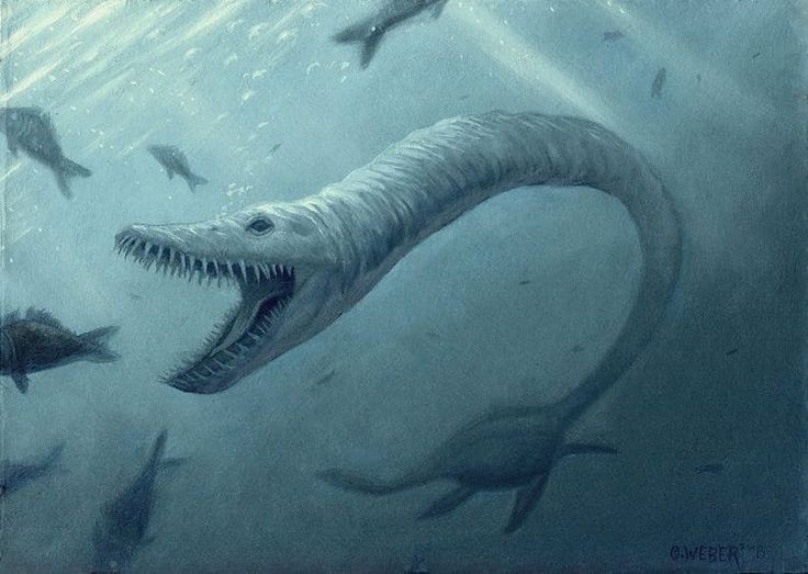 Rung minh sinh vat khong lo co that, nguyen mau quai vat ho Loch Ness-Hinh-7