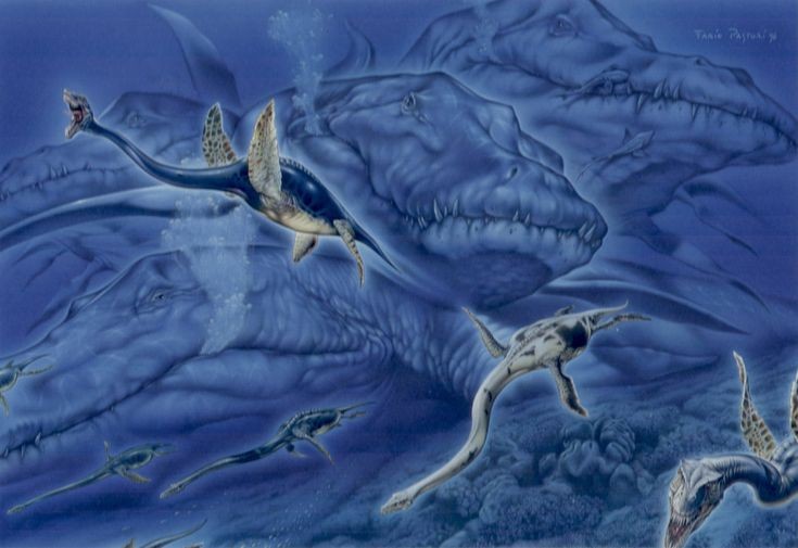 Rung minh sinh vat khong lo co that, nguyen mau quai vat ho Loch Ness-Hinh-8