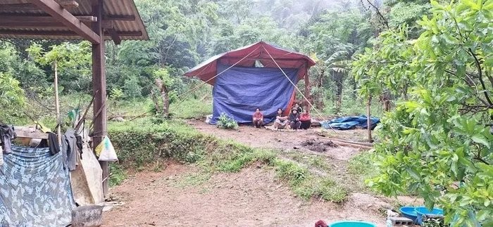 Dinh chi dieu tra vu an co gai o Quang Binh bi sat hai