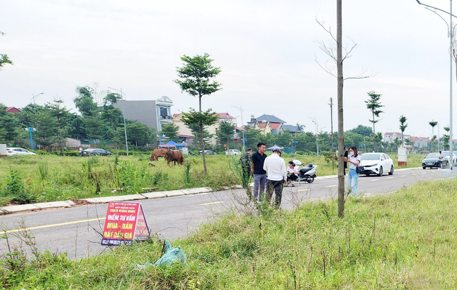 Ha Noi lien tuc dau gia dat, chuyen gia canh bao rui ro