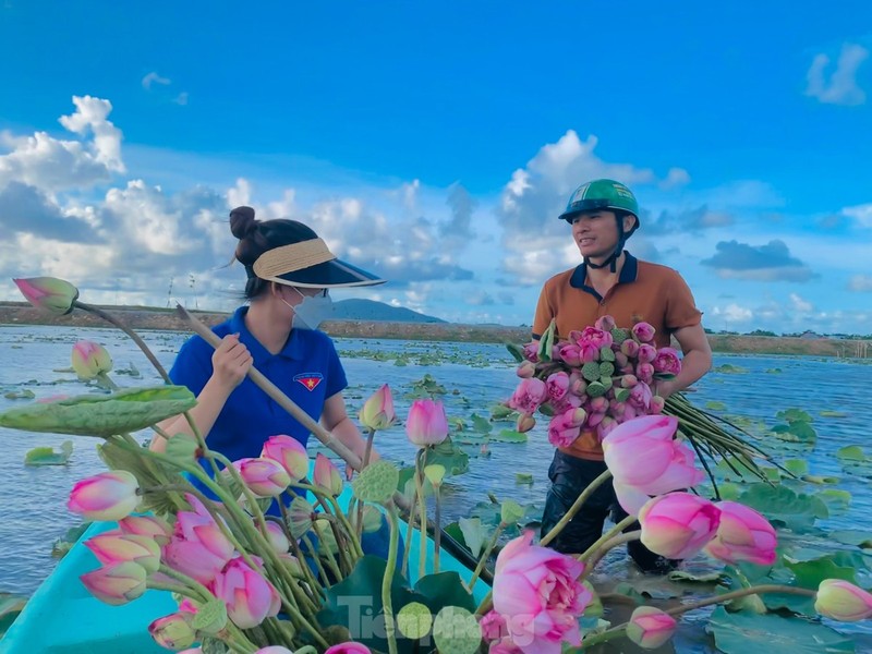 Ra dam hai sen luc rang sang, moi ngay thu tien trieu-Hinh-6