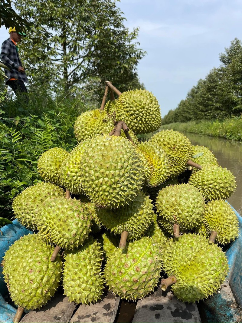 Campuchia chi tien gap 23 lan mua ‘trai cay vua’ cua Viet Nam