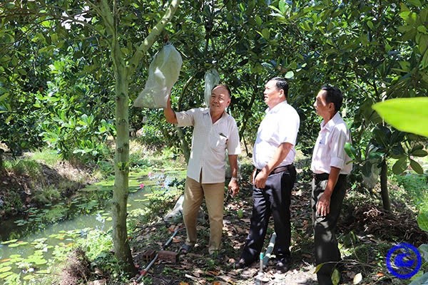 Loai trai ngon tang gia cao, nguoi dan loi tien ty