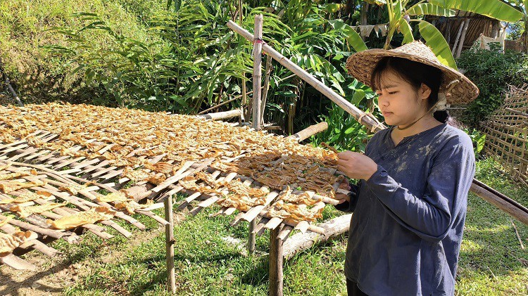 “Loc rung” giup nguoi dan Thanh Hoa co “cua cua an cua de“-Hinh-3