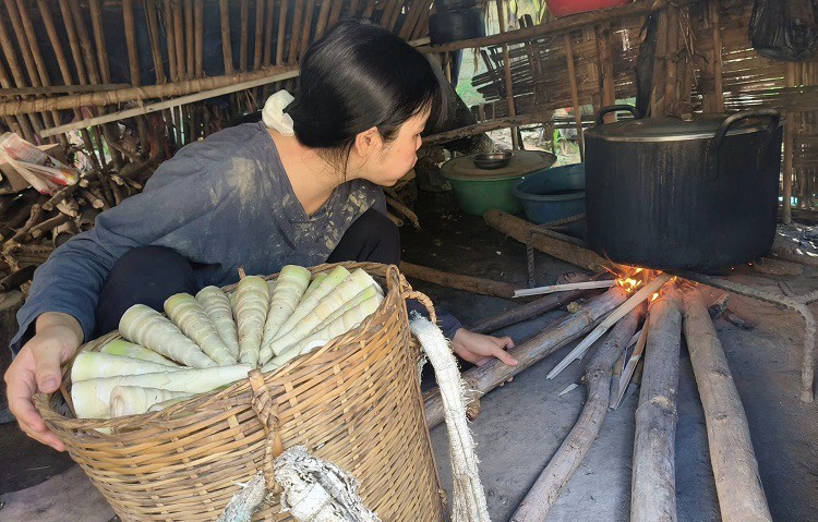 “Loc rung” giup nguoi dan Thanh Hoa co “cua cua an cua de“