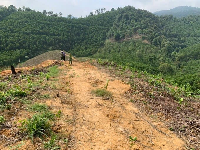 Khoi to, bat tam giam doi tuong pha rung tu nhien o Ha Tinh-Hinh-2