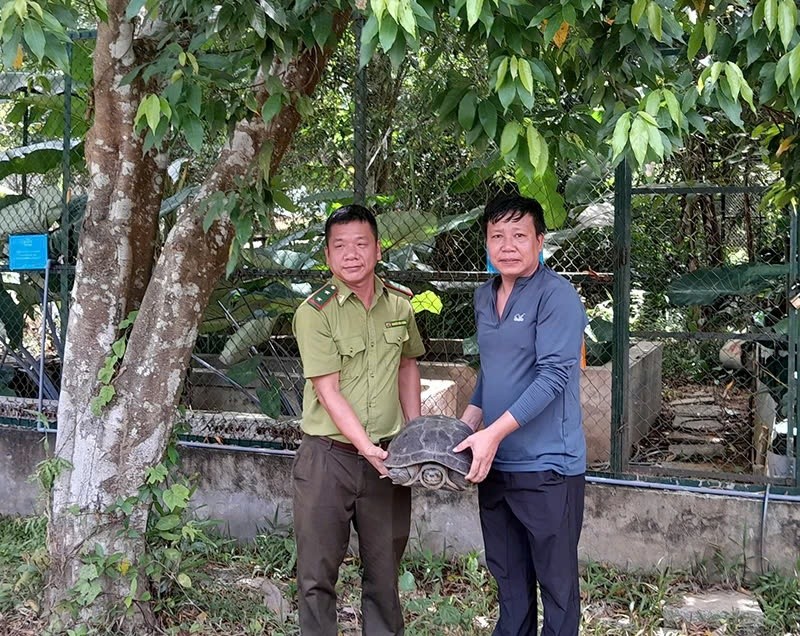 Nguoi dan o Quang Binh giao nop ca the rua rang quy nang 15kg