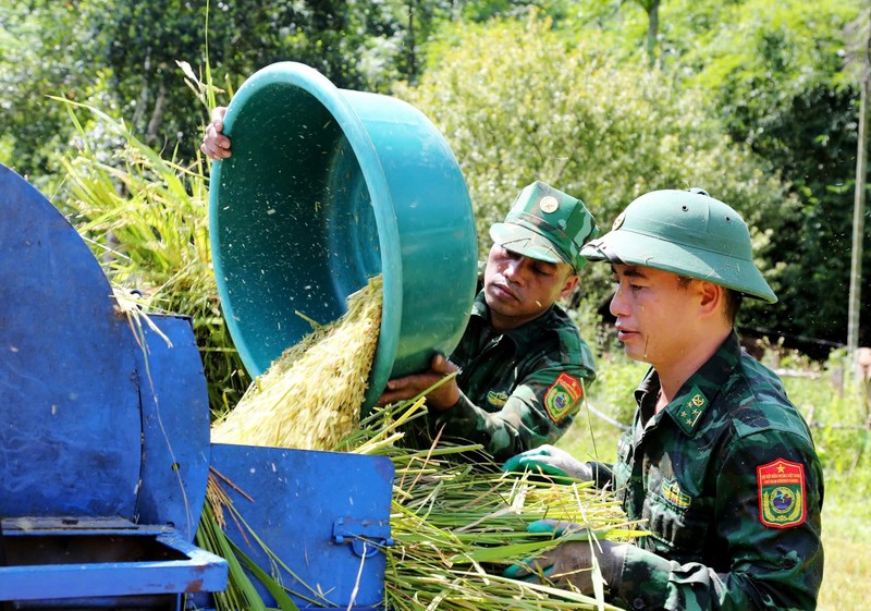 Bo doi Bien phong loi ruong gat lua ‘chay bao’ so 3 giup dan-Hinh-3