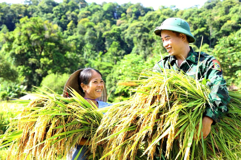 Bo doi Bien phong loi ruong gat lua ‘chay bao’ so 3 giup dan-Hinh-5