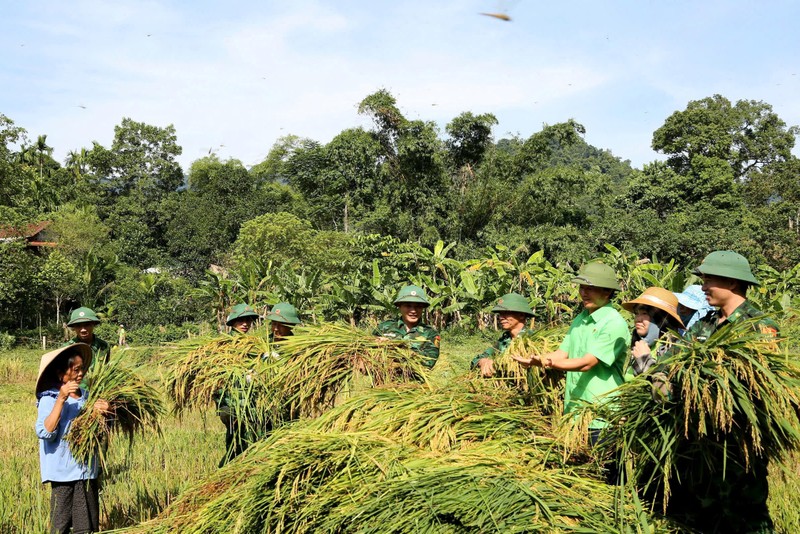 Bo doi Bien phong loi ruong gat lua ‘chay bao’ so 3 giup dan