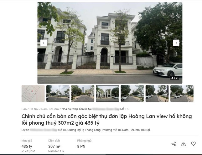 Biet thu khu do thi cua ngo Ha Noi rao ban 500 ty dong-Hinh-2