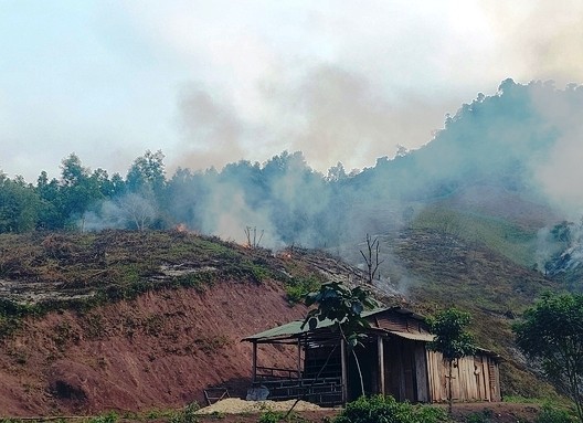 Quang Tri: Nguoi dan ong bi ngat khi tu vong khi dot thuc bi