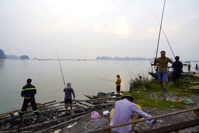 Nghe 'hot' sau bao o Ha Long, ngoi choi cung kiem tien trieu-Hinh-3