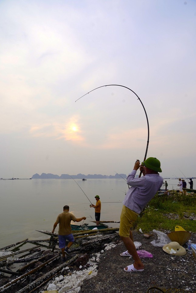 Nghe 'hot' sau bao o Ha Long, ngoi choi cung kiem tien trieu-Hinh-4