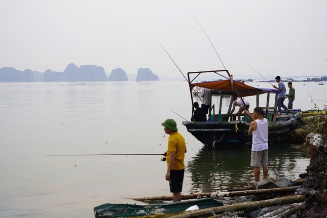 Nghe 'hot' sau bao o Ha Long, ngoi choi cung kiem tien trieu-Hinh-6