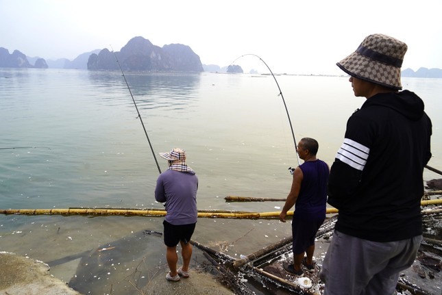 Nghe 'hot' sau bao o Ha Long, ngoi choi cung kiem tien trieu-Hinh-7