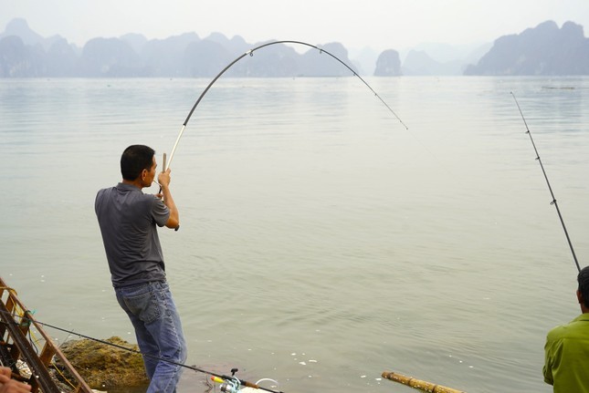 Nghe 'hot' sau bao o Ha Long, ngoi choi cung kiem tien trieu-Hinh-8