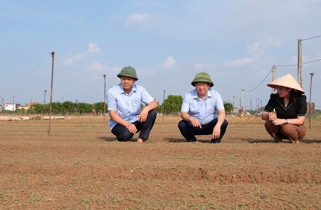 Gat nuoc mat, nong dan Thu do dung day sau bao