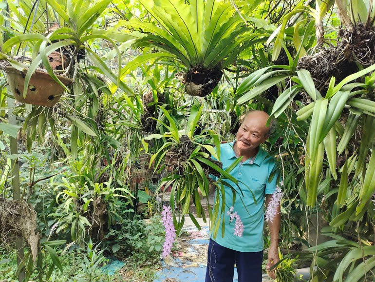 Nong dan Bac Kan thoat ngheo nho trong lan rung, nuoi ga dac san