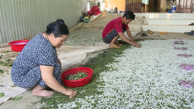 Thu nhap cao nho nghe 'an com dung'-Hinh-3