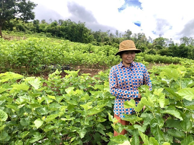 Thu nhap cao nho nghe 'an com dung'