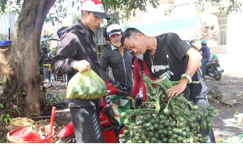 Nong dan trung tien ty,  vua cay cau giong chay hang-Hinh-3