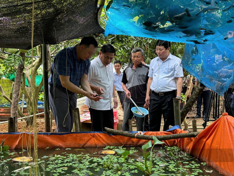 Nong dan Hoa Binh thoat ngheo nho nuoi con dac san