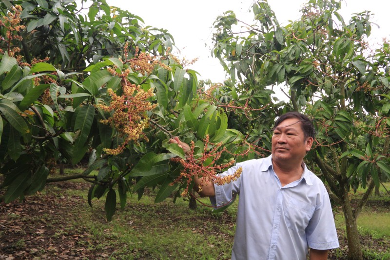 Nong dan Dak Nong phat tai nho cay dac san mien Tay