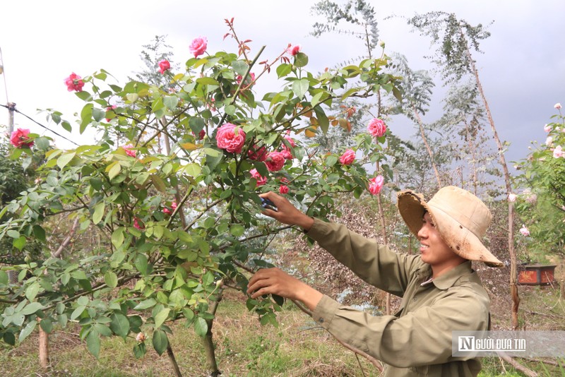 Trong hoa hong, chang trai 9X mang ve doanh thu “khung”-Hinh-2