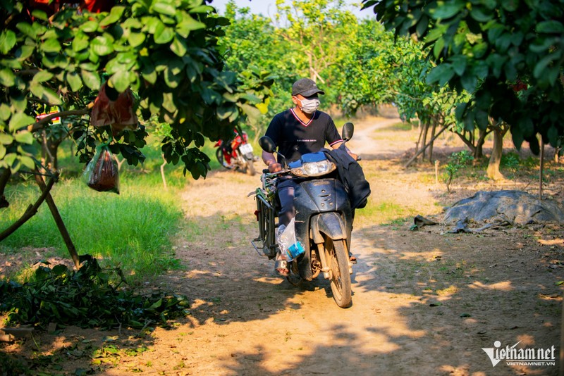 Nua trieu dong moi qua buoi do tien vua cung khong co de ban-Hinh-8