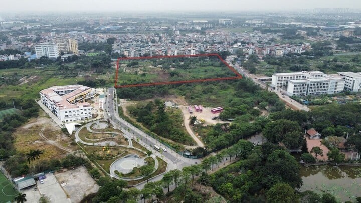 Ong lon trung dau gia khu “dat vang” o Ha Noi la ai?