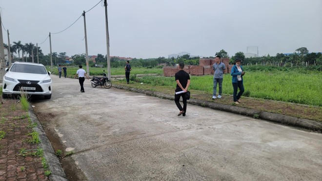 Đấu giá thành công 56 lô đất, Hưng Yên thu 265 tỷ đồng Dau gia thanh cong 56 lo dat, Hung Yen thu 265 ty dong